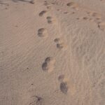 footprints-in-sand