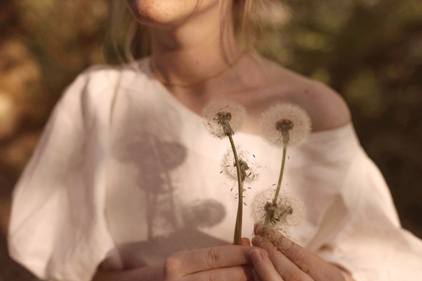 dandelions