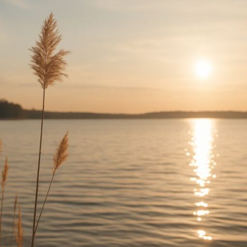 Golden-reeds-calm-lake